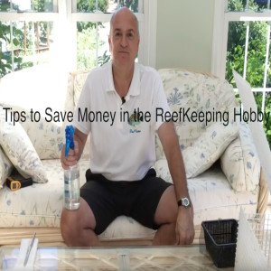 Tips and tricks to save money keeping a saltwater aquarium - starting a saltwater aquarium video