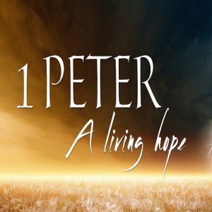 1 Peter 5 To Elders And Young Men