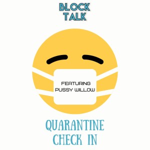 Block Talk- Episode 167 (Quarantine Check In with  Willow)