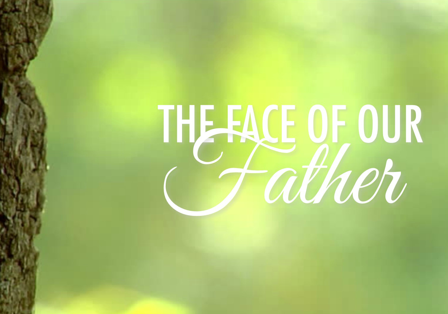 The Face of Our Father by Glenn Berry