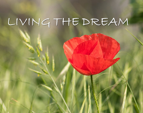 Living the Dream: Healing and Change Brought by God by Mary Hodges