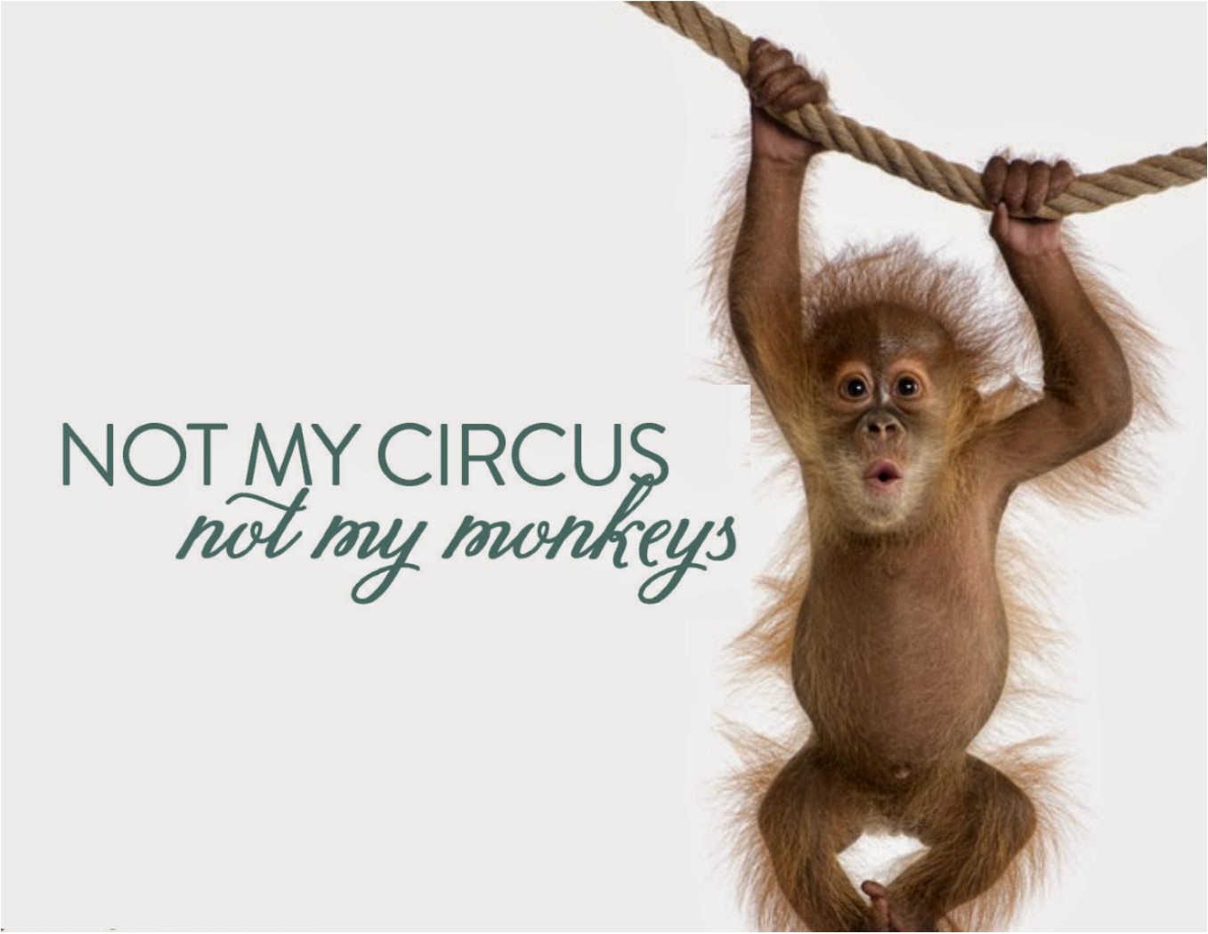 Not My Circus, Not My Monkeys by Lesli Berry