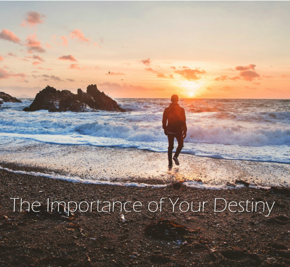 The Importance of Your Destiny by Moses Borjas