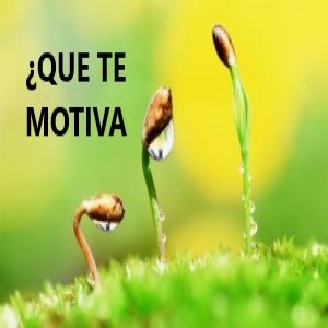 ¿Que te motiva?