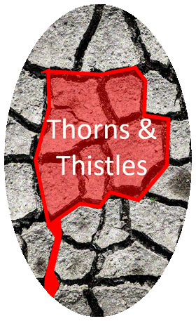 Thorns & Thistles