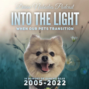 Into The Light : When Our Pets Transition