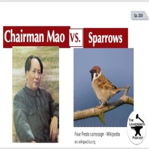WHY DID MAO KILL THE SPARROWS IN CHINA? [EPISODE 203]