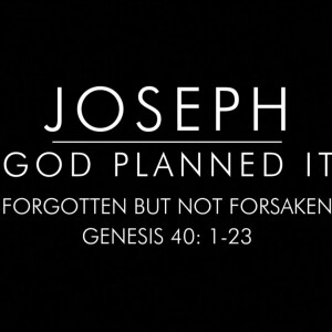 Forgotten But Not Forsaken