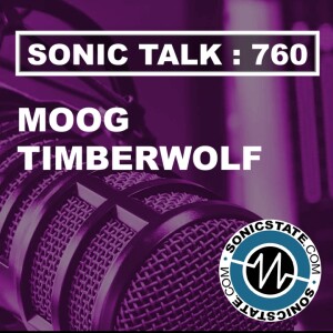 Sonic TALK 760 - Moog Sold, Reddit and Childrens Toy Samples