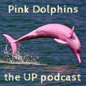 Pink Dolphins