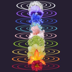 Chakra activation, Clearing & Healing Guided Meditation for Balancing your chakras