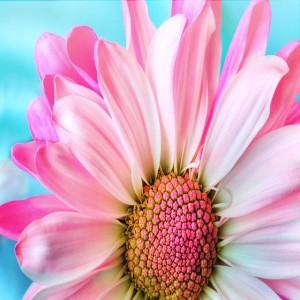 Pain relief guided meditation for deep sleep and relaxation