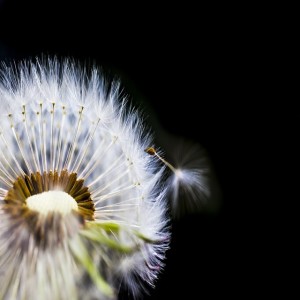 Guided meditation to relieve anxiety before sleep - deep sleep talkdown