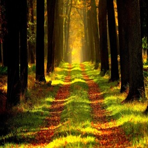 Guided meditation for a deep sleep and to ease anxiety