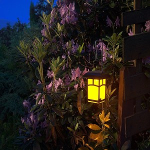 Guided meditation Deep Sleep, Moonlight kingdom, with relaxation Hypnosis