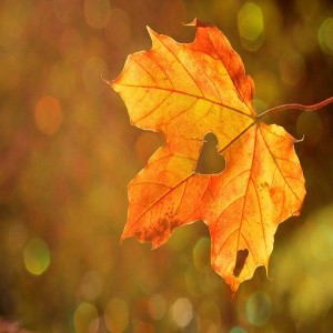 Guided meditation deep sleep and relaxation, Let go of worry, anxiety & depression