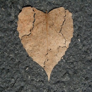 guided meditation letting go of someone, let go of past love relationships