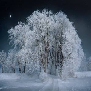Guided meditation for overthinking and deep sleep - A walk in the snow