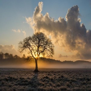 Guided meditation for overthinking and deep sleep - One Autumn night