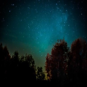Guided sleep meditation- The Forest of Peace and Relaxation