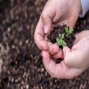 Guided meditation for overthinking and deep sleep - The seed of sleep