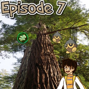 Pokémon DND 5e Episode 7 When it Rains Seedots