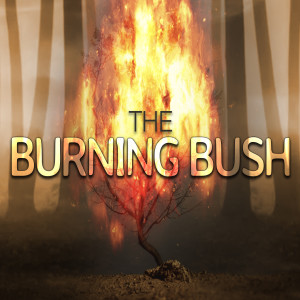 20210227 | The Burning Bush | Pastor John Lomacang