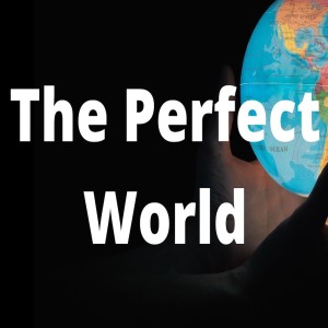 202310814 | The Perfect World | Terry Shelton