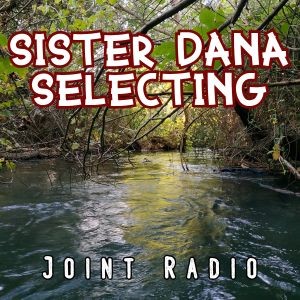 Joint Radio Reggae mix #83 - Sister Dana selecting 15