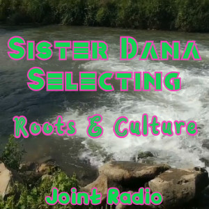 Joint Radio mix #98 - Sister Dana selecting 22