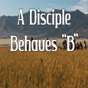 A Disciple Behaves "B"