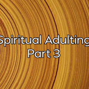 Spiritual Adulting Part 3