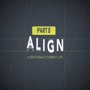 Align Part 8: Aligning with the Judge
