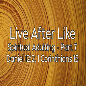 Live After Like - Spiritual Adulting - Part 7