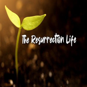 Growth Part 5: Resurrection Life