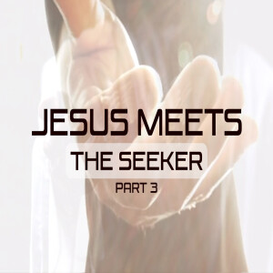 Jesus Meets Part 3: The Seeker