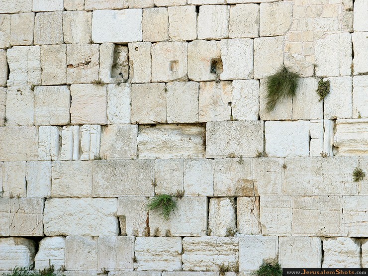 עונה 4 - ראשון לציון, פונדקאות ואבנים בכותל