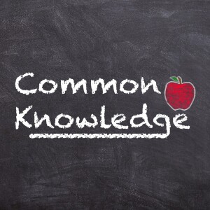 Common Knowledge - Week 2