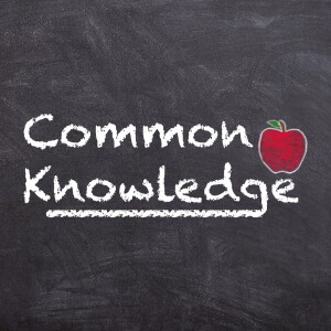 Common Knowledge - Week 3