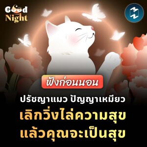 ปรัชญาแมว ปัญญาเหมียว เลิกวิ่งไล่ความสุข แล้วคุณจะพบมัน #ฟังก่อนนอน | Good Night EP.47