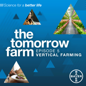 5. City Food: The Vertical Farms Growing Produce Next Door