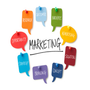 Easy Marketing Excellence with EZ Rankings