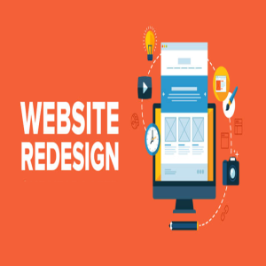 Need of a professional expert who offer website redesigning services