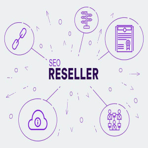 How Can a White Label SEO Reseller Help Your Business Succeed?