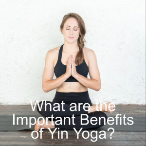 What are the Important Benefits of Yin Yoga?