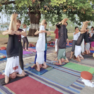 Five Reasons Why Yoga Teacher Training In India Is The Best Move