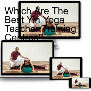 Which Are The Best Yin Yoga Teacher Training Centres?