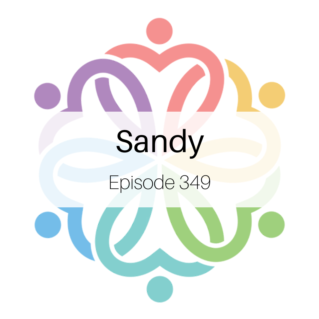 Ep 349 - Sandy - podcast episode cover