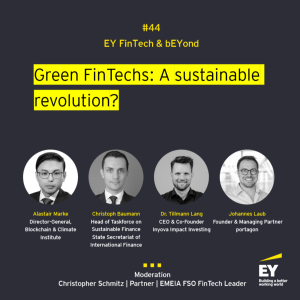 #044 - Green FinTechs: A sustainable revolution?