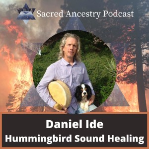 Daniel Ide: Humming Bird Sound Healing